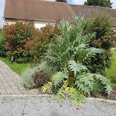 Les 7 Tilleuls - Gite Mesland Exterior foto