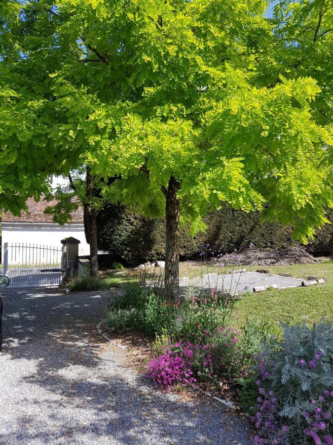 Les 7 Tilleuls - Gite Mesland Exterior foto