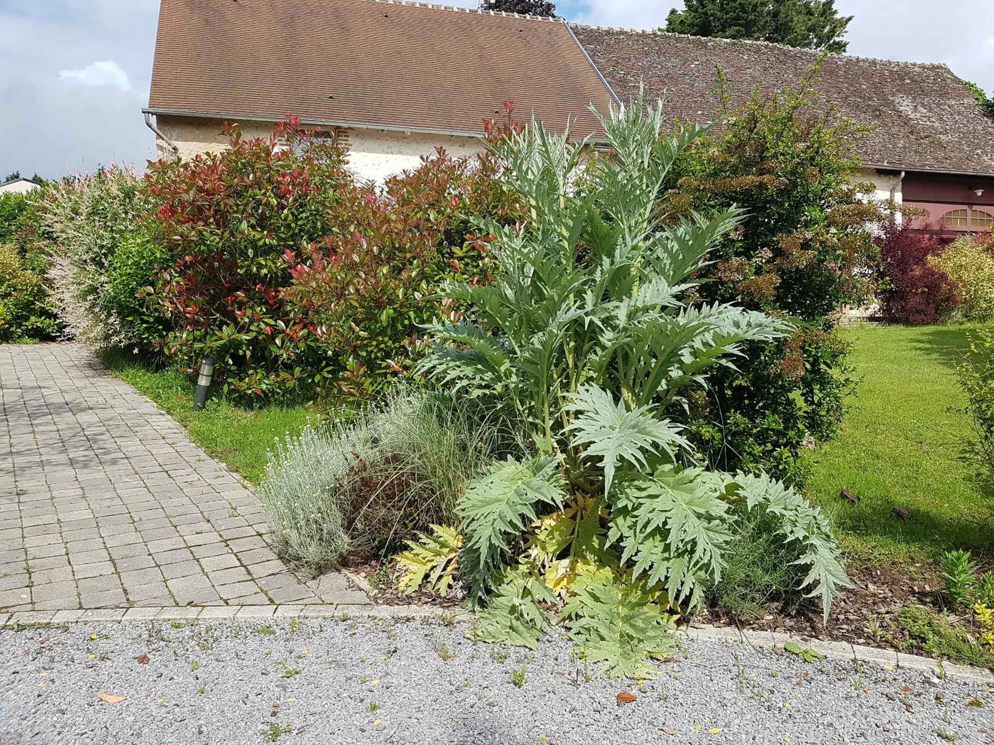 Les 7 Tilleuls - Gite Mesland Exterior foto